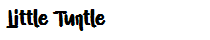 Little Turtle